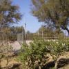 Campo sportivo recintato con vegetazione circostante e alberi.