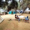 Area camping con tende sotto alberi, una persona seduta a un tavolo.