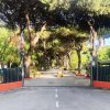 Ingresso di un campeggio con alberi alti e bandiere colorate.