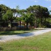 Sentiero di ghiaia tra prati verdi con alberi alti e un recinto di legno lungo il lato destro.