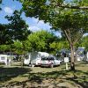 Un campeggio con caravan e auto sotto alberi verdi.