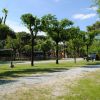 Un viale sterrato in un campeggio, circondato da alberi e vegetazione.
