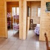 Interno con cucina, letti a castello e un letto singolo.